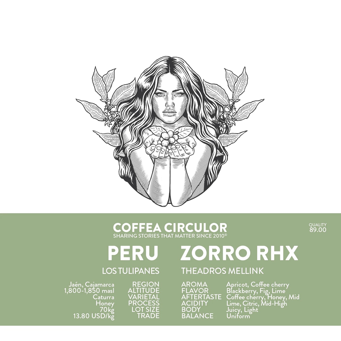 PERU ZORRO