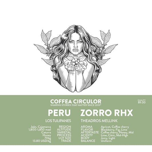PERU ZORRO