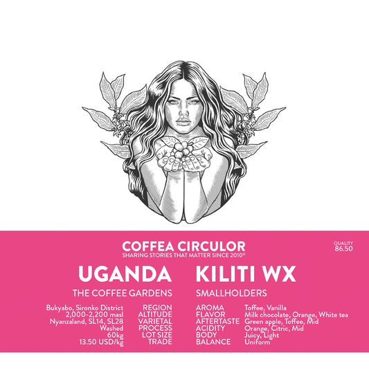 UGANDA KILTI WX